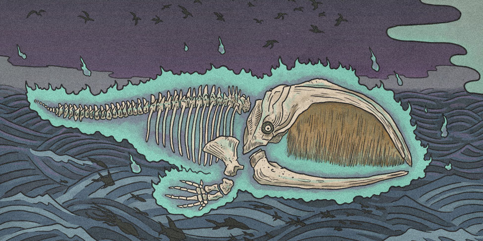 illustration of a ghostly whale